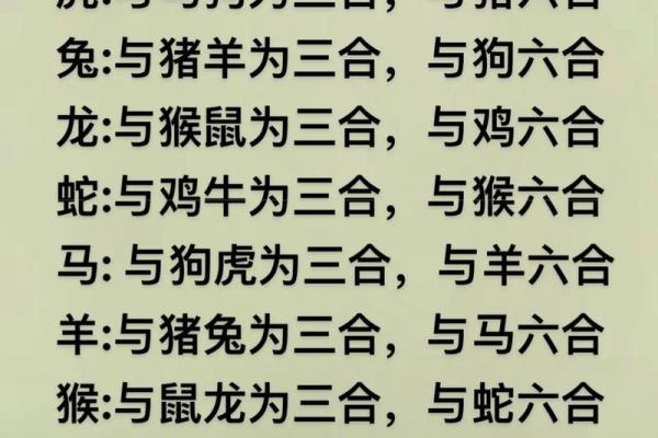龙和老鼠属相合不合 龙和老鼠配对如何