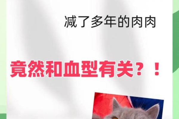血型人吃对食物倍儿瘦