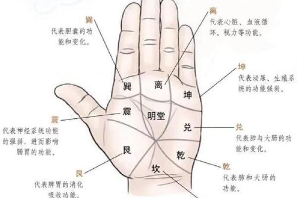 《手相学习百科》：掌纹介绍