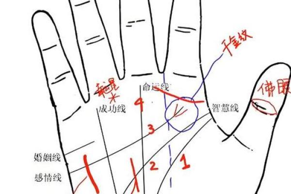 《手相学习百科》：手相重要辅线