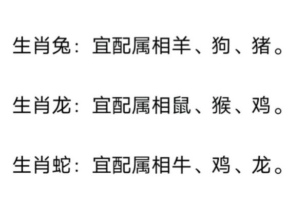 鼠属十二生肖之首黄金配对无人敌