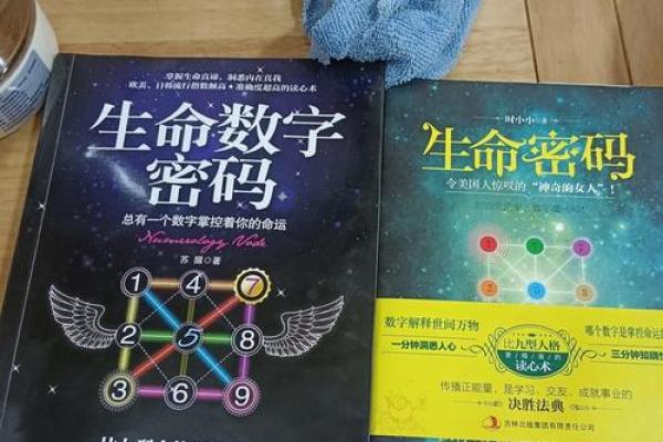 生命灵数配对哪种最准
