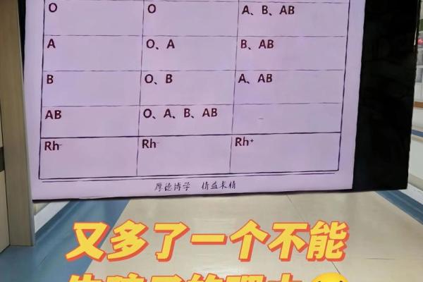 血型会影响怀孕吗- O型血的女性不易受孕