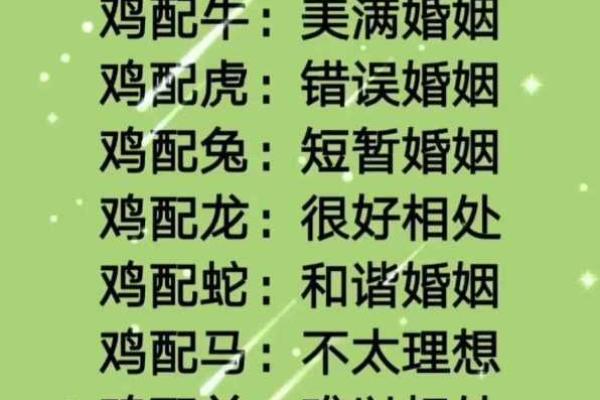 什么生肖最相配？十二生肖婚姻配对大全