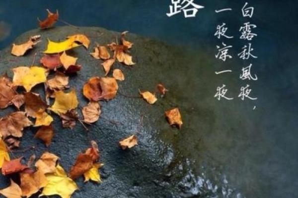 白露节气的含义是什么 白露时节有什么民俗活动