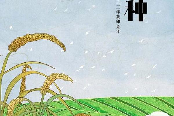 芒种节气绘画图片 芒种节气的故事及民俗