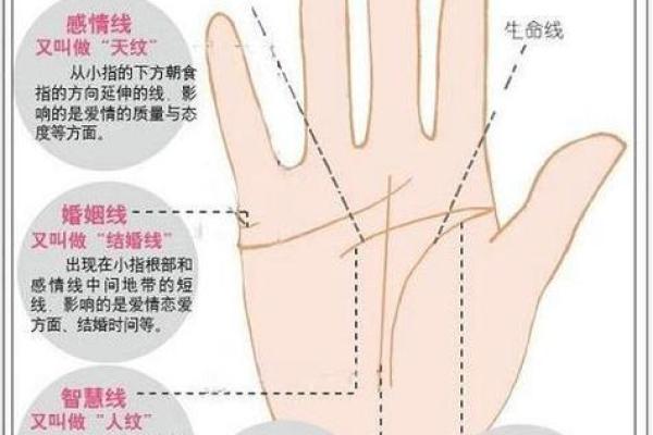 看手相算命图解：指纹