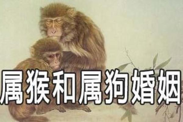 属猴和什么属相最配对 属猴和什么属相相冲