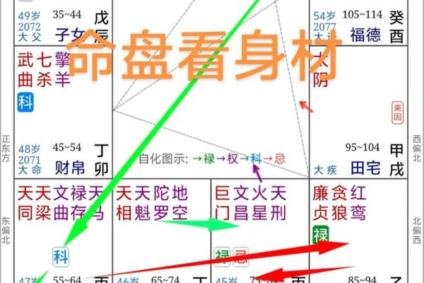 紫薇斗数的大迁