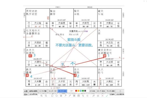 五星派紫薇斗数