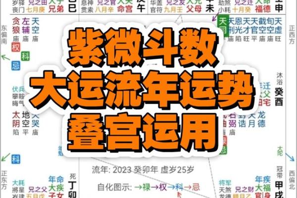 紫薇斗数怎么起流年