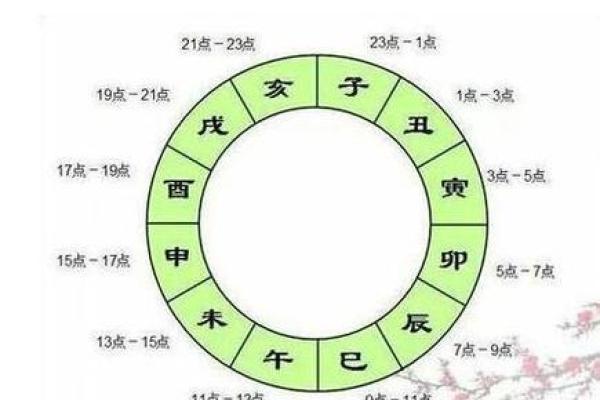 八字排盘免费算命程序