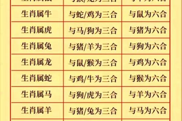 属龙的生肖配对