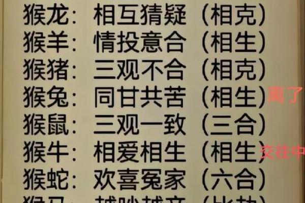 生肖配对：属猴的和什么属相最配