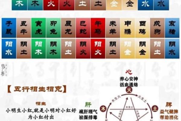八字测算健康状况，免费预测身体状况，把握健康前景