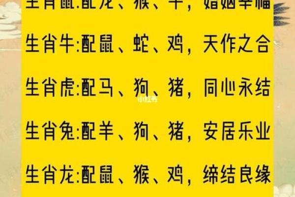 婚姻属相配对大全很准免费 十二生肖婚姻配对表