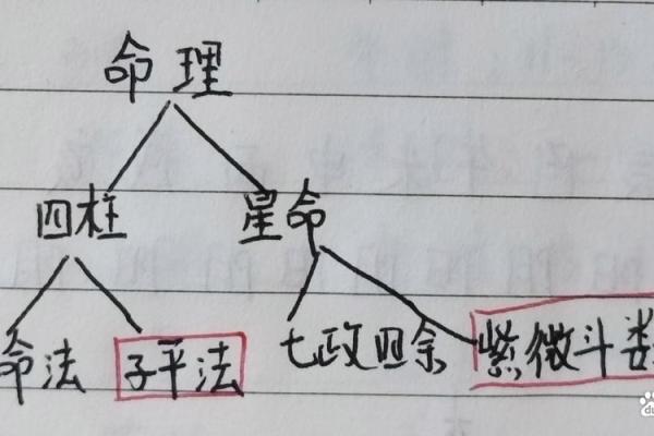 八字理论方法PDF下载，详解八字命理，求职择业必备！
