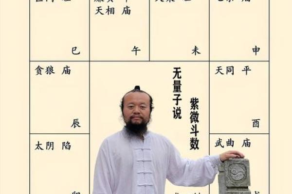 紫薇斗数术语逢