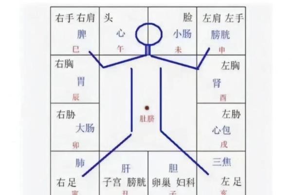 紫薇斗数怎么看考试