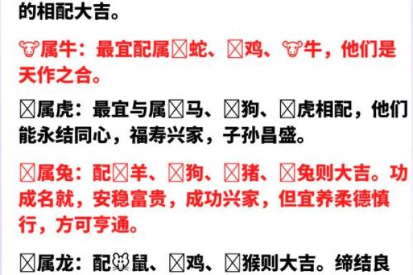 在一起最旺对方的六大生肖配对