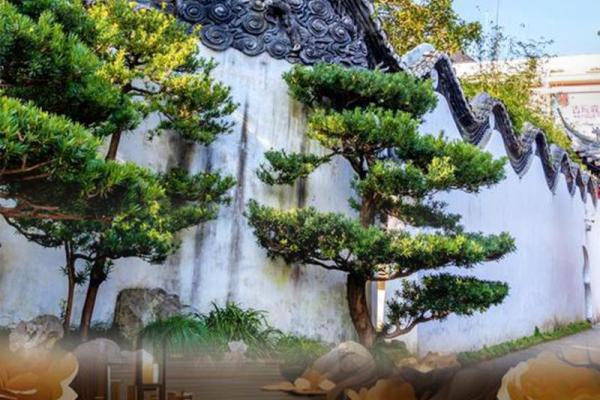 古代房子屋顶的风水特点