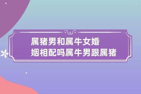 属猪男和什么属相配吗，属猪男和什么属相配对？