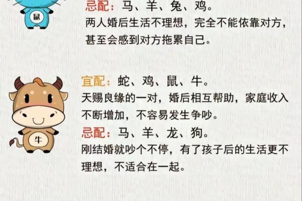 生肖鸡男配对姻缘 属鸡男生肖配对？