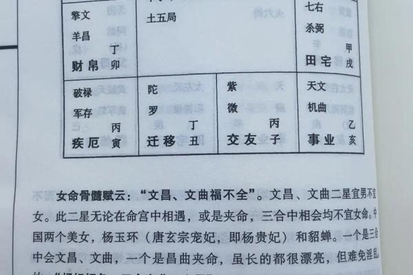 紫薇斗数昌曲星