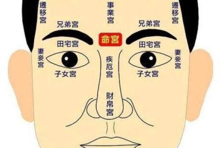 眼皮看面相算命