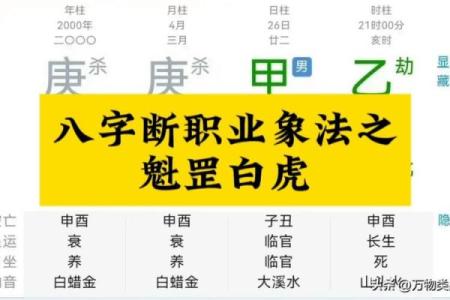 八字看职业状况