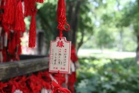 月老灵签97签解签感情