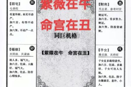 紫薇斗数命微