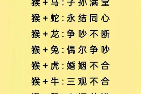 什么生肖最相配？十二生肖婚姻配对大全