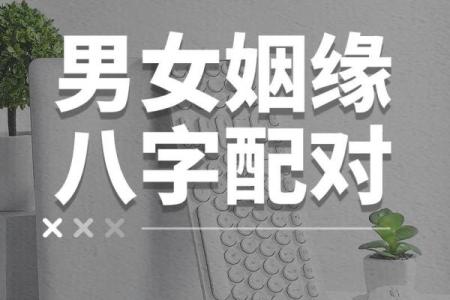 免费名字配对姻缘关系 名字姻缘配对超准 免费？