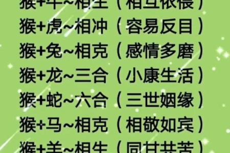 猴跟什么生肖配对最好 生肖猴最佳配对