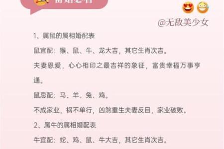 白羊座的生肖配对有哪些