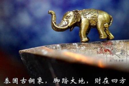 风水铜象摆放在什么位置