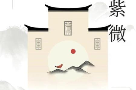 紫薇斗数申子辰