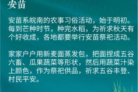 芒种节气的民俗活动 芒种节气小知识