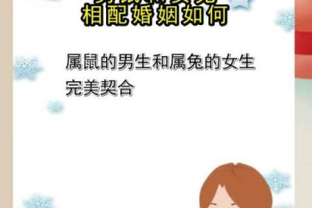 揭秘肖鼠女的属相配对