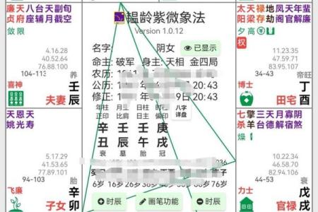 紫薇斗数看事业起色