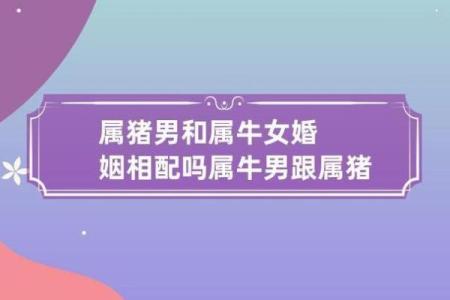 属牛女的婚姻配对更佳属相