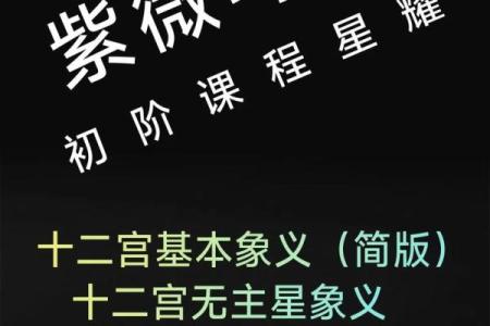 紫微斗数破军疾厄宫