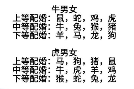 1996年属什么生肖配对 属相婚配表解析