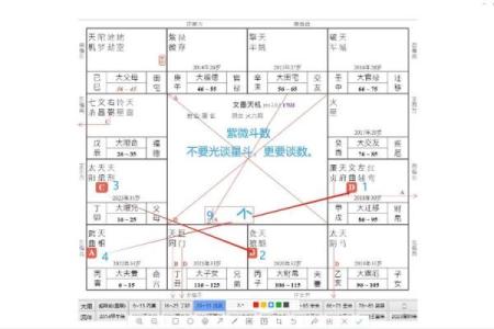五星派紫薇斗数