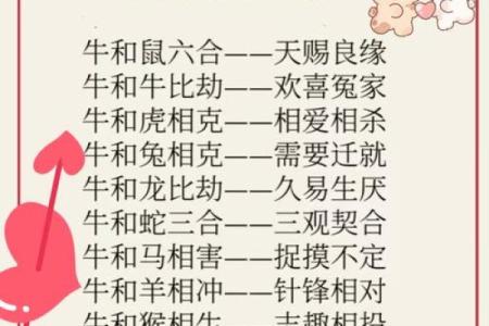 九四年属什么生肖婚配 九四年属什么生肖配对