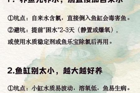 养鱼的喜忌：家庭养鱼风水讲究