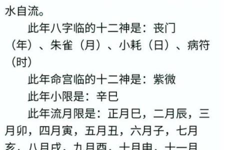 八字排盘免费算命程序
