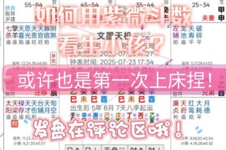 紫微斗数看学业终止 紫微斗数如何看学业？