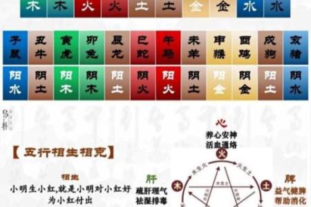 八字测算健康状况，免费预测身体状况，把握健康前景